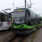 zdjęcie nr 10