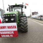 zdjęcie nr 88
