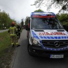 zdjęcie nr 8