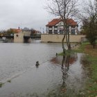 zdjęcie nr 11