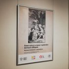 zdjęcie nr 15