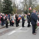 zdjęcie nr 42