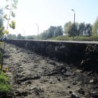 zdjęcie nr 11