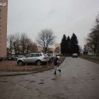 zdjęcie nr 8