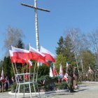 zdjęcie nr 15