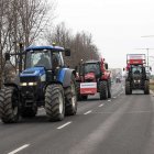 zdjęcie nr 11