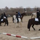 zdjęcie nr 23