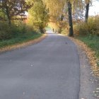Fotka nr 4 z 5