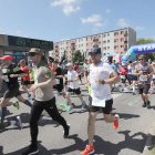 zdjęcie nr 230