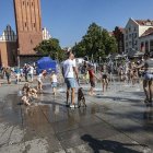 zdjęcie nr 48