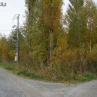  Starostwo Powiatowe w Elblągu