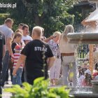 zdjęcie nr 53
