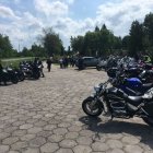 zdjęcie nr 8