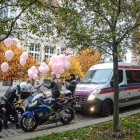 zdjęcie nr 13
