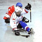  Marek Lewandowski