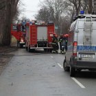 zdjęcie nr 24