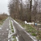 zdjęcie nr 12