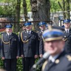 zdjęcie nr 8