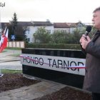 zdjęcie nr 11