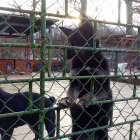 Wigilia w elbląskim schronisku dla bezdomnych zwierząt Aleksandra Szymańska