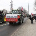 zdjęcie nr 139