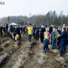 zdjęcie nr 19