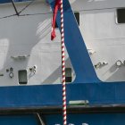 zdjęcie nr 51