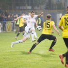  Marek Lewandowski