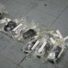  Komenda Wojewódzka Policji w Olsztynie