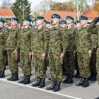 zdjęcie nr 35
