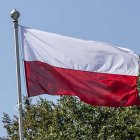 zdjęcie nr 28