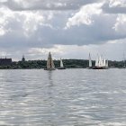 zdjęcie nr 140