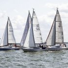 zdjęcie nr 223