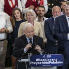 zdjęcie nr 133