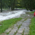 zdjęcie nr 25