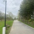 zdjęcie nr 21