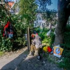 zdjęcie nr 7