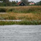 zdjęcie nr 36