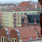 zdjęcie nr 10