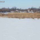 Suchacz