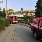zdjęcie nr 7