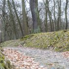 zdjęcie nr 9