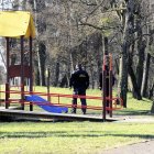 zdjęcie nr 15