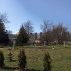 zdjęcie nr 8