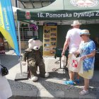 zdjęcie nr 115