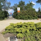 zdjęcie nr 35