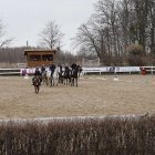 zdjęcie nr 31