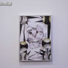zdjęcie nr 12