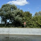 zdjęcie nr 19