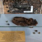  Stowarzyszenie im gen bryg Bolesława Nieczuja-Ostrowskiego